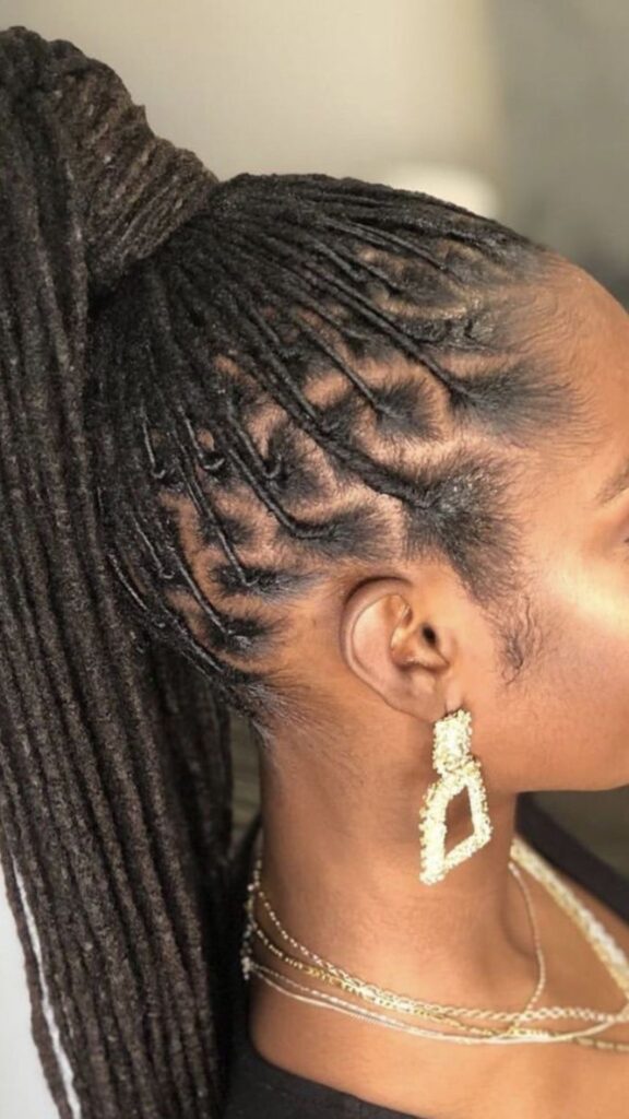 High-ponytail-locs-hairstyle-with-locs-gathered-at-the-crown