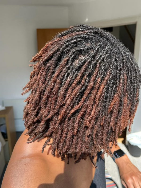 How-Long-Do-Starter-Locs-Take-to-Mature