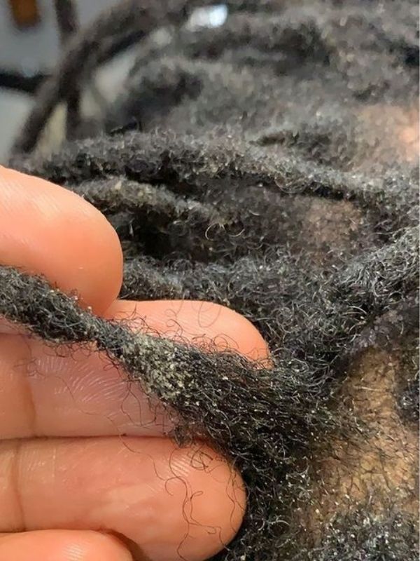 Locs-with-product-buildup