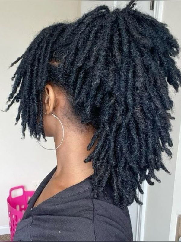 Image-of-Loose-Low-Ponytail-for-Longer-Starter-Locs