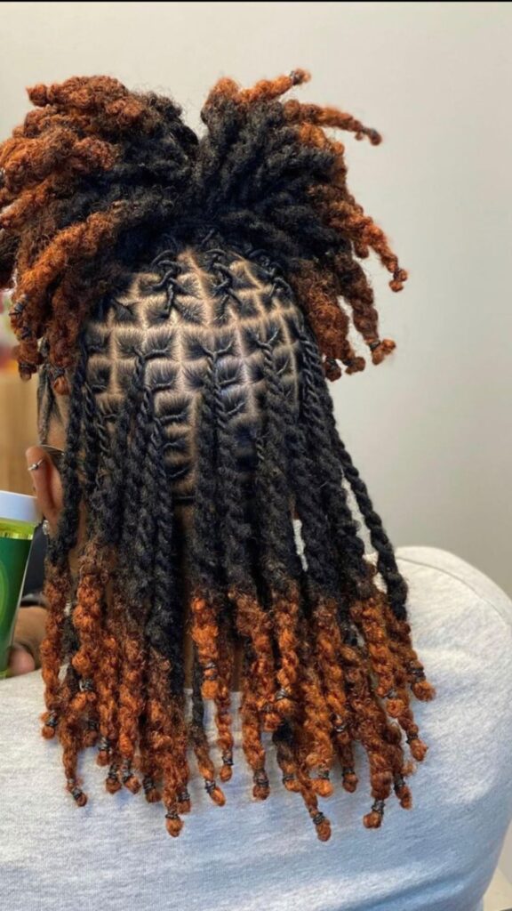 Half-up-half-down-locs-hairstyle for a stylish everyday look