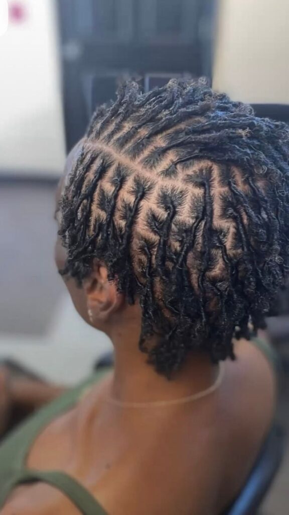 What-Are-Starter-Locs