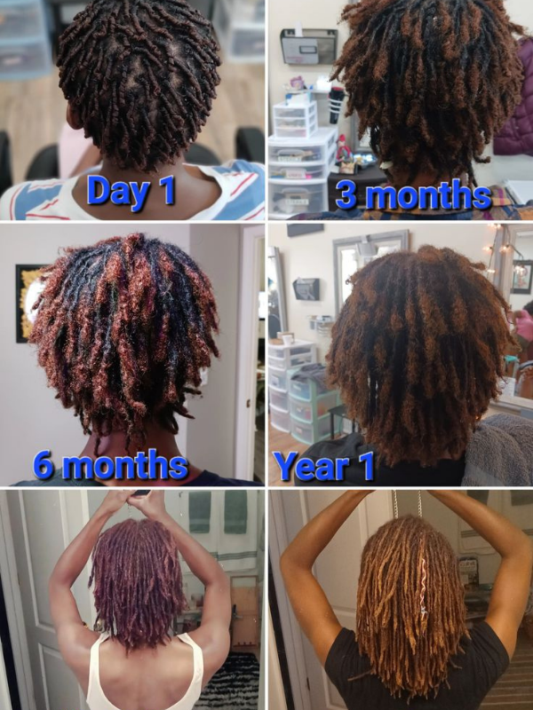 What-Happens-to-Starter-Locs-Month-by-Month